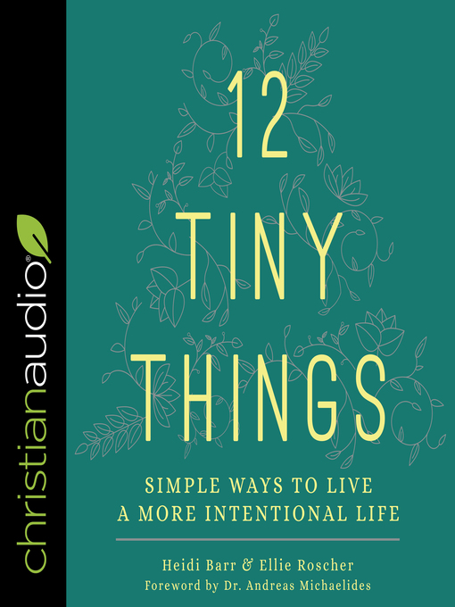 Title details for 12 Tiny Things by Heidi Barr - Wait list